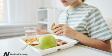 Plant-Based Hospital Menus