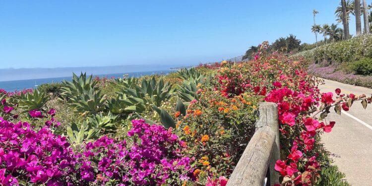 Where to Stay, Eat, & Shop